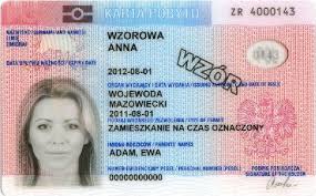 documenty 7
