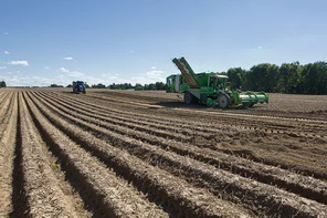 polskaya ferma